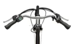 Teutoburg Senne Pedelec mit 7-Gang Shimano Kettenschaltung, 250W und 10,4 Ah / 36 V Lithium-Ionen-Akku – Bild 4