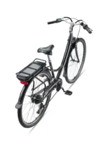 Teutoburg Senne Pedelec mit 7-Gang Shimano Kettenschaltung, 250W und 10,4 Ah / 36 V Lithium-Ionen-Akku – Bild 3