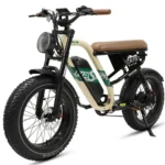 E-Bike Trekkingrad W66 herren Elektrofahrrad 648WH cityrad 20×4.0 Zoll damen 13.5AH 65Nm Kettenschaltung, Heckmotor, 648 Wh, Retro E-Fatbike