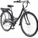 Teutoburg Senne Pedelec mit 7-Gang Shimano Kettenschaltung, 250W und 10,4 Ah / 36 V Lithium-Ionen-Akku